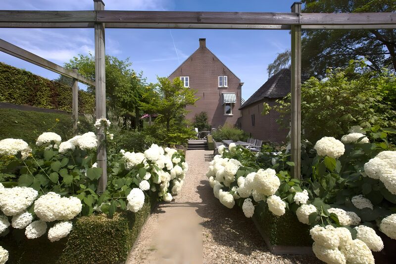 Serene Garden Pathway with White Hydrangeas