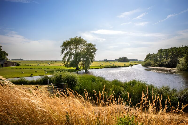 Tranquil River Bend in Verdant Fields
