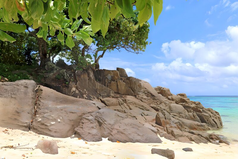 Serene Coastal Rocks under Lush Greens