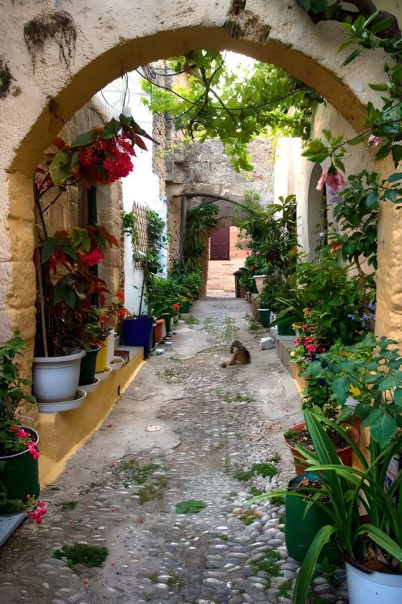 Charming Garden Alleyway