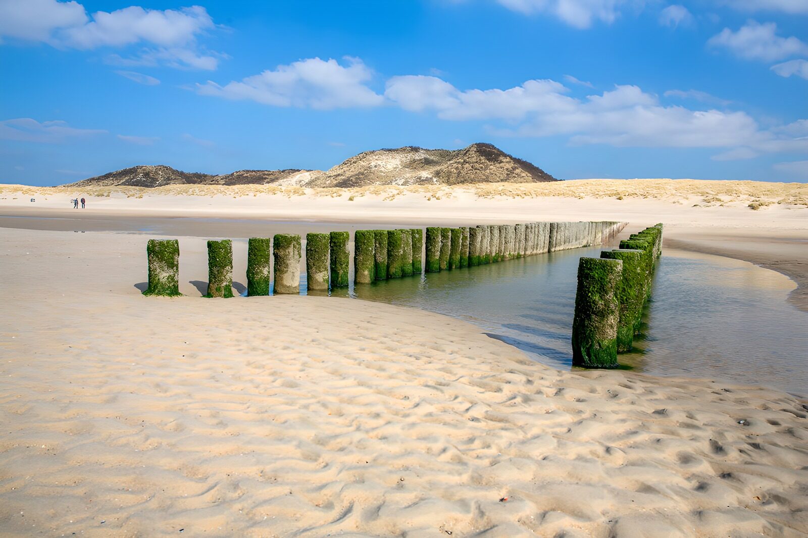 Tranquil Beach with Old Jetty Piles