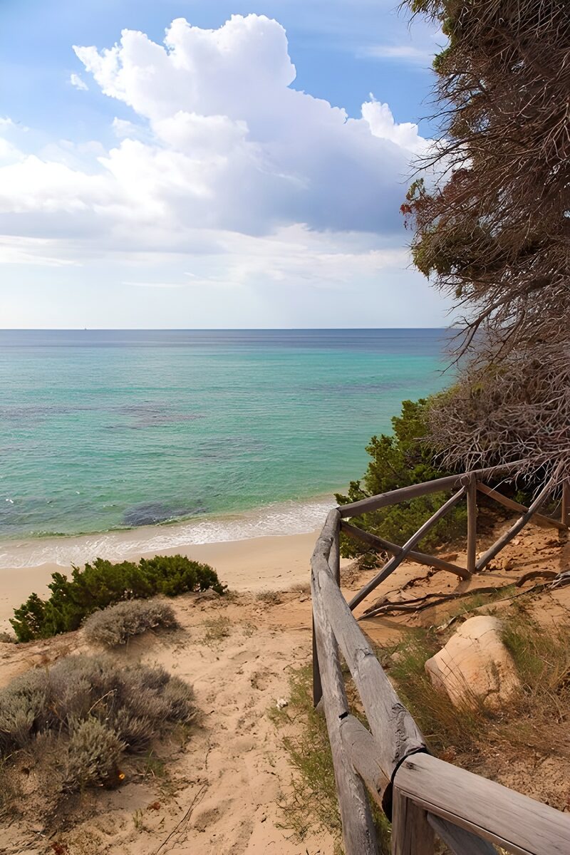 Tranquil Beach Pathway