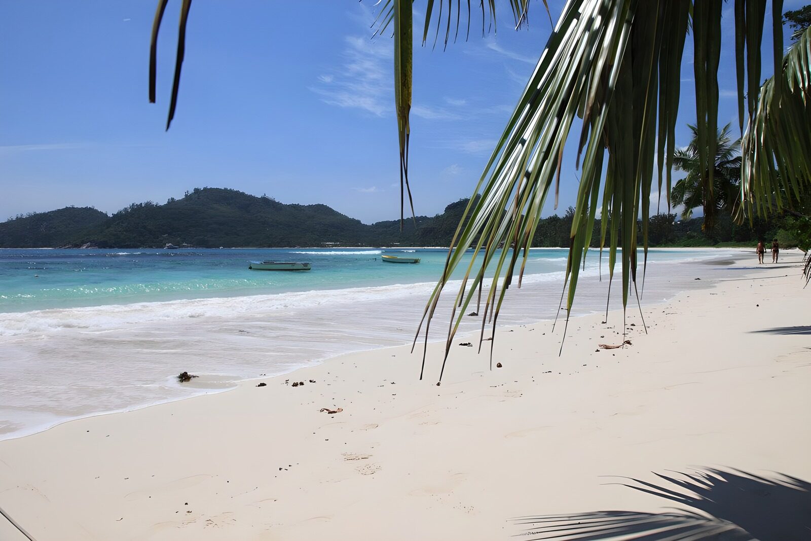 Tropical Beach Paradise View