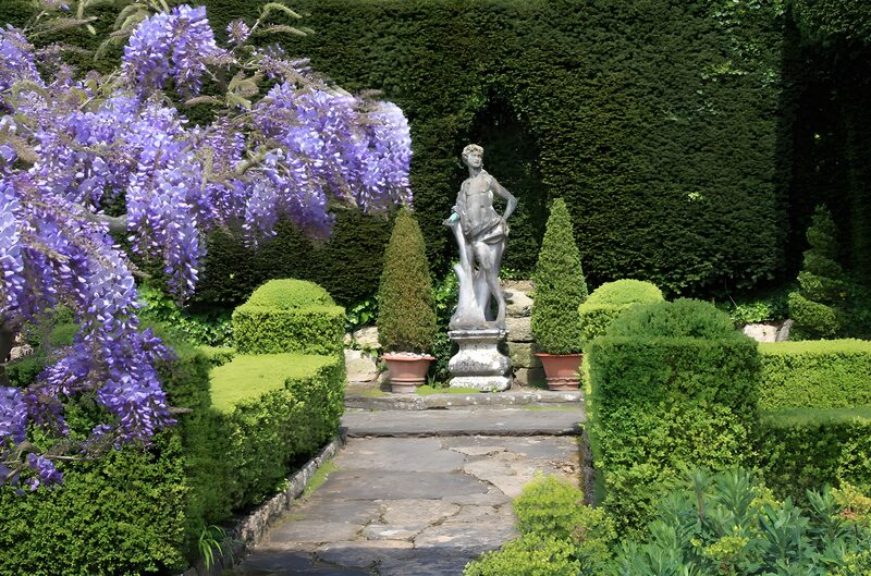 Garden Serenity with a Statue