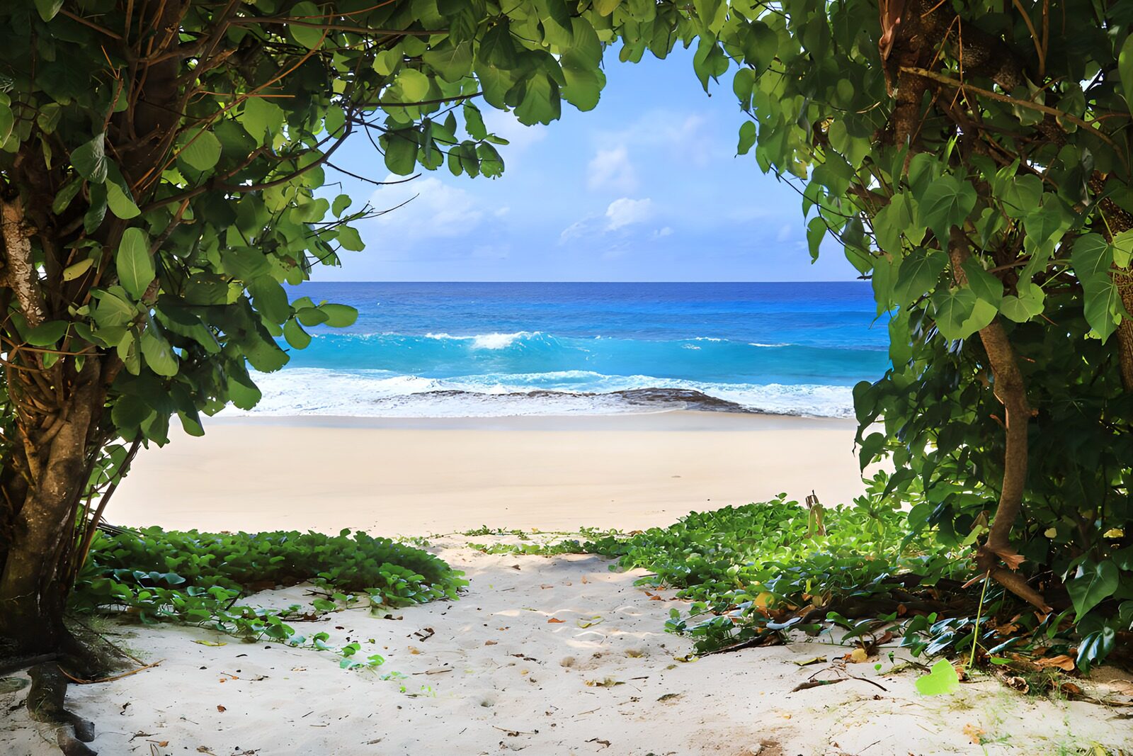 Tranquil Beach View Framed by Foliage