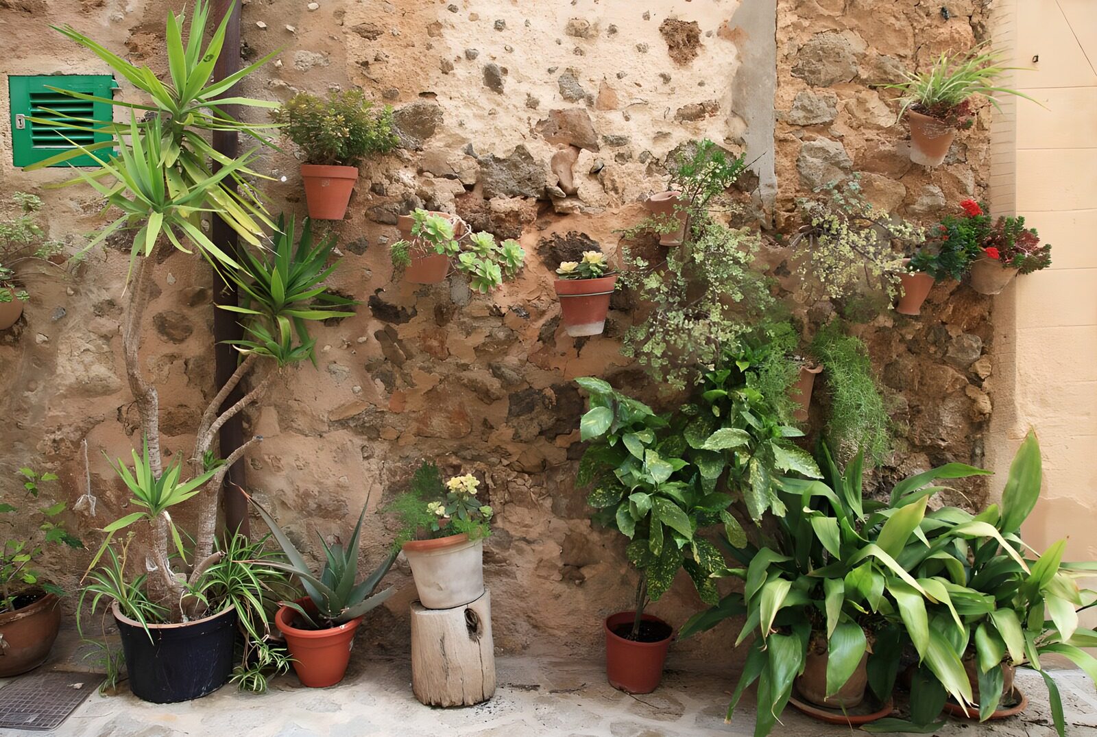Lush Greenery Against a Stone Wall