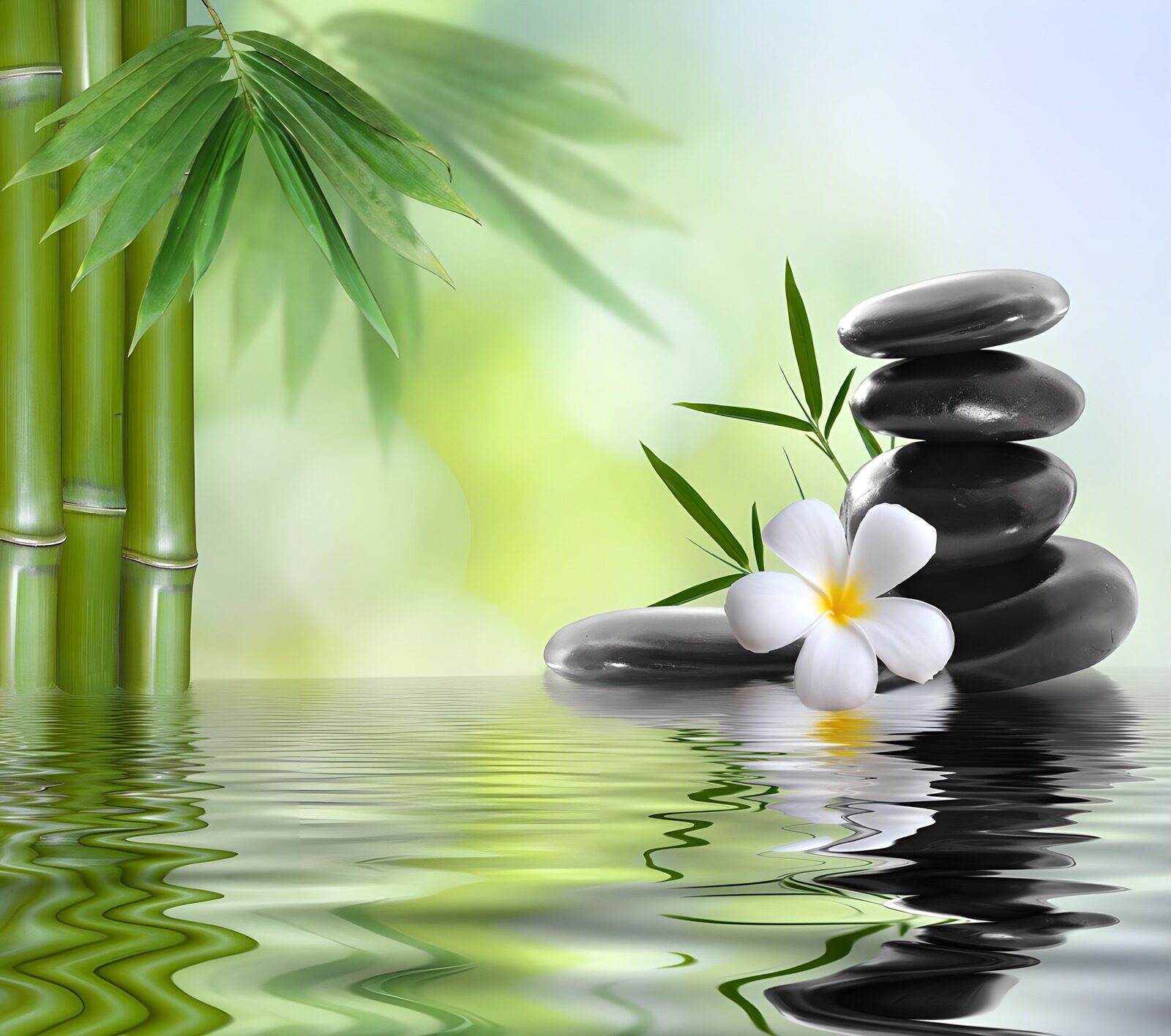 Serenity in Nature