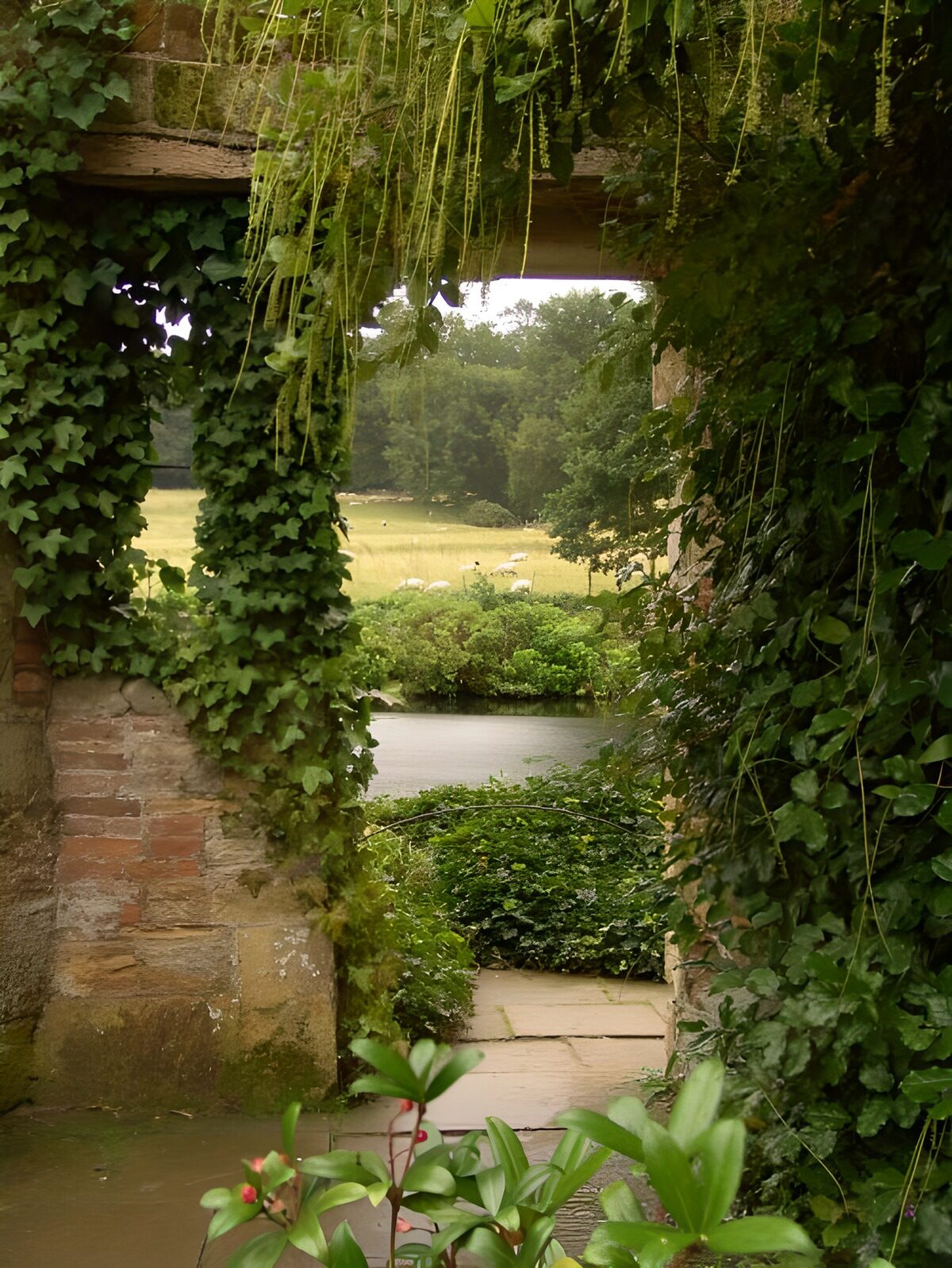 Tranquil View Through an Ivy-Covered Archway
