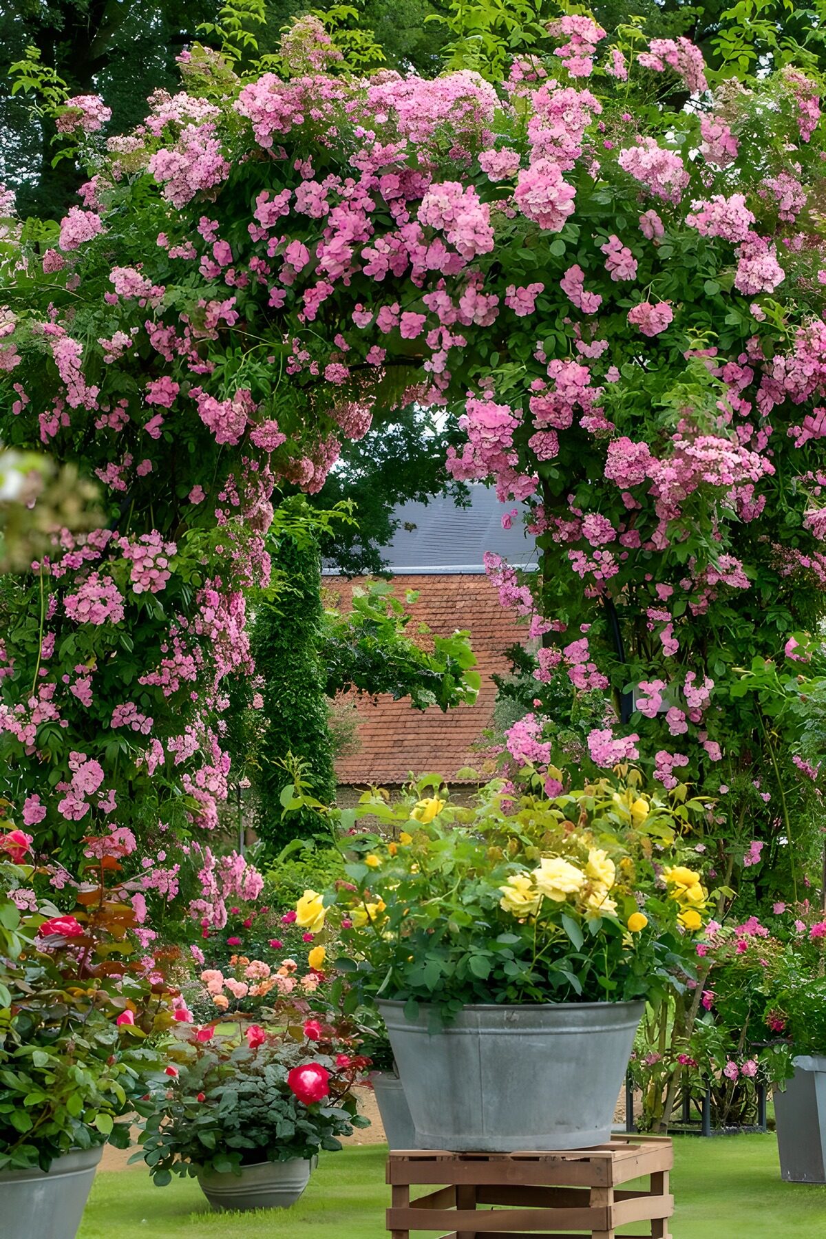 Blooming Garden Archway