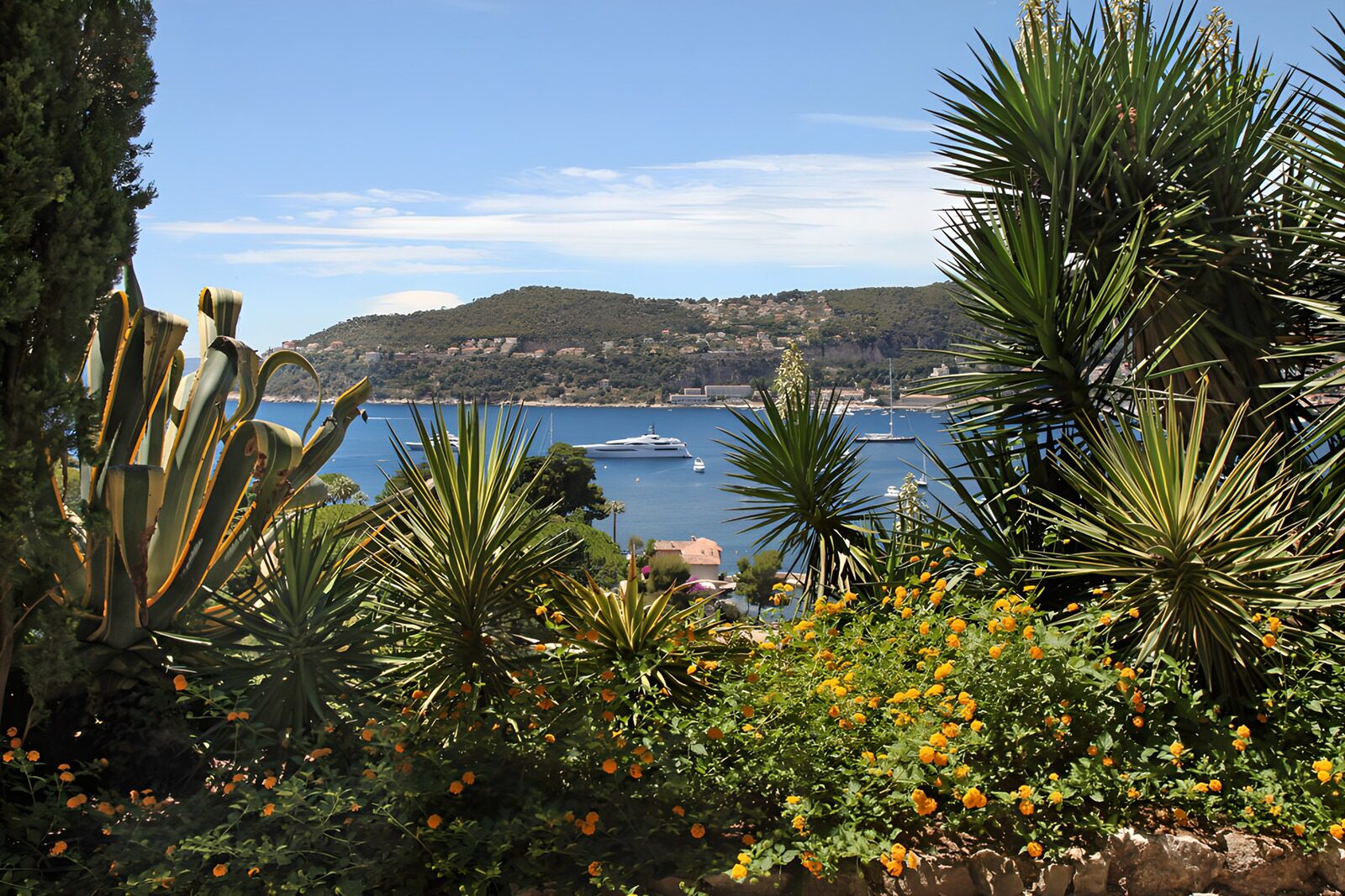 Coastal Paradise in Bloom