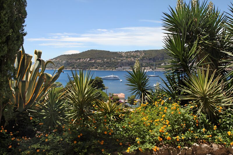 Coastal Paradise in Bloom