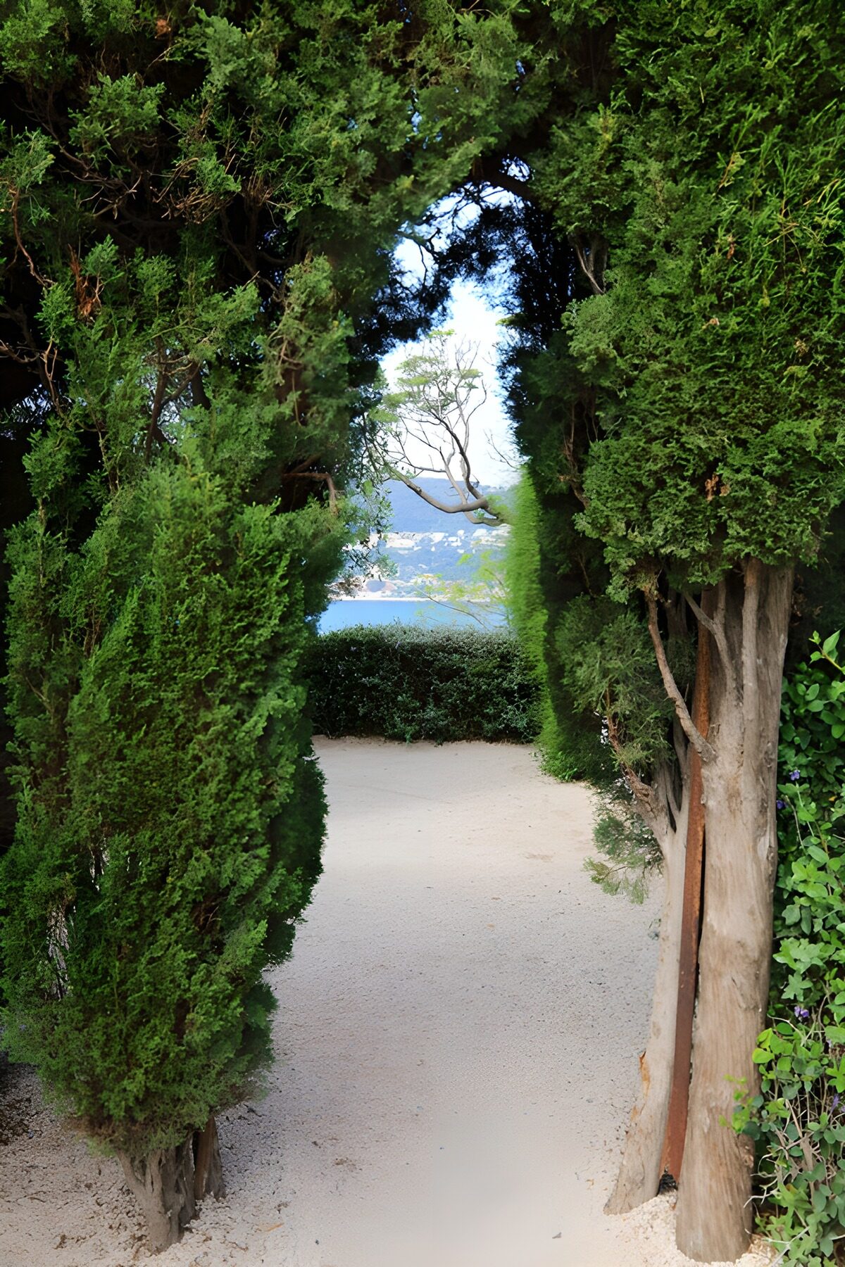 Serene Garden Pathway
