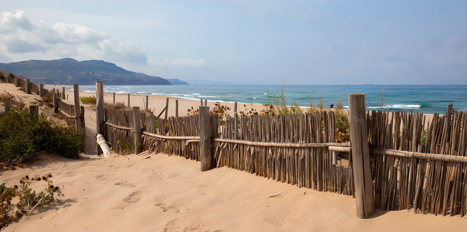 Serenity at the Beach