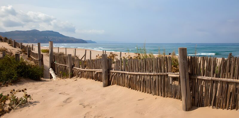 Serenity at the Beach