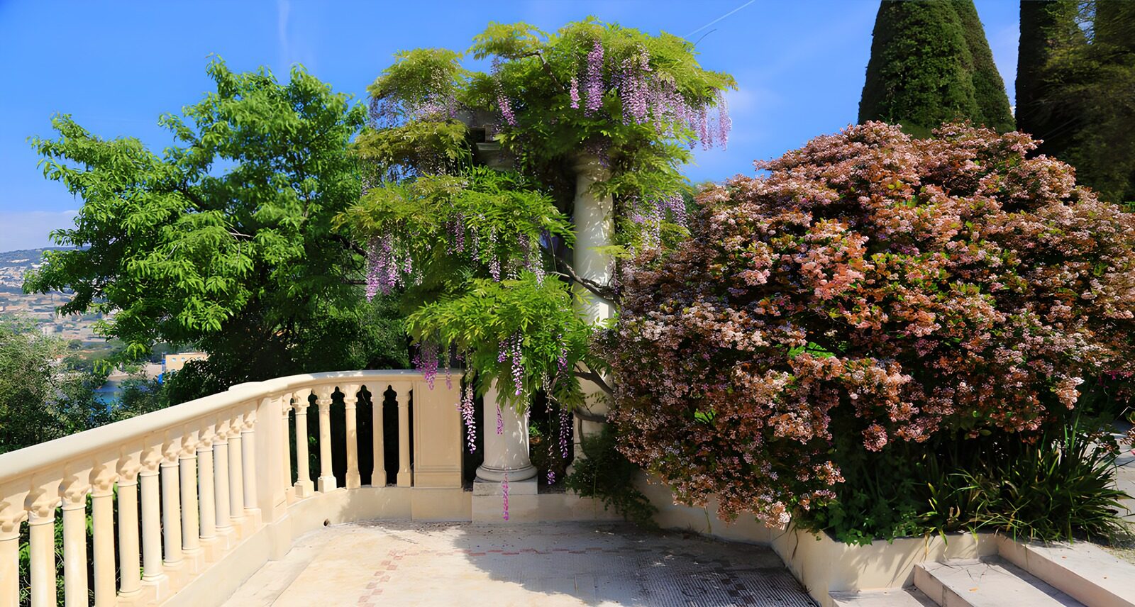 Serene Garden with Blooming Flowers