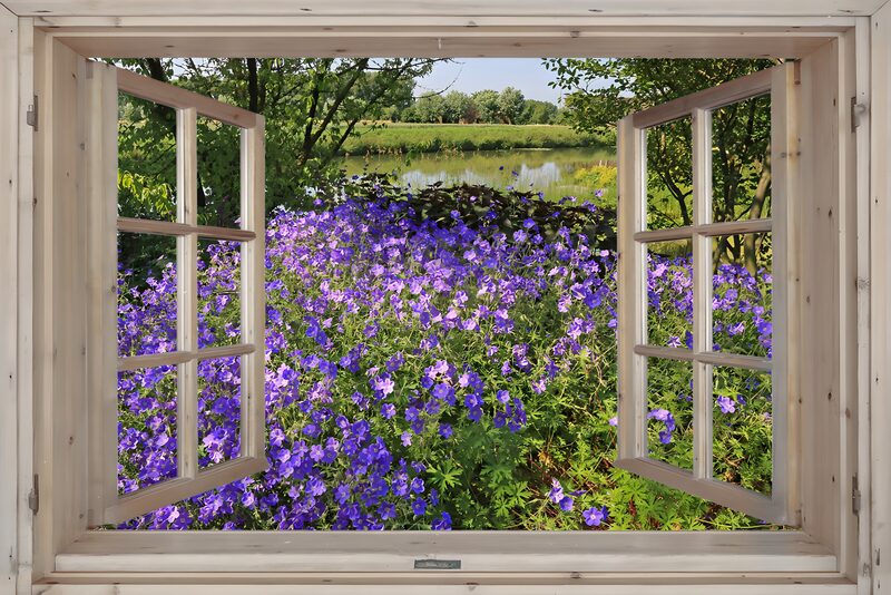 Scenic View through a Window