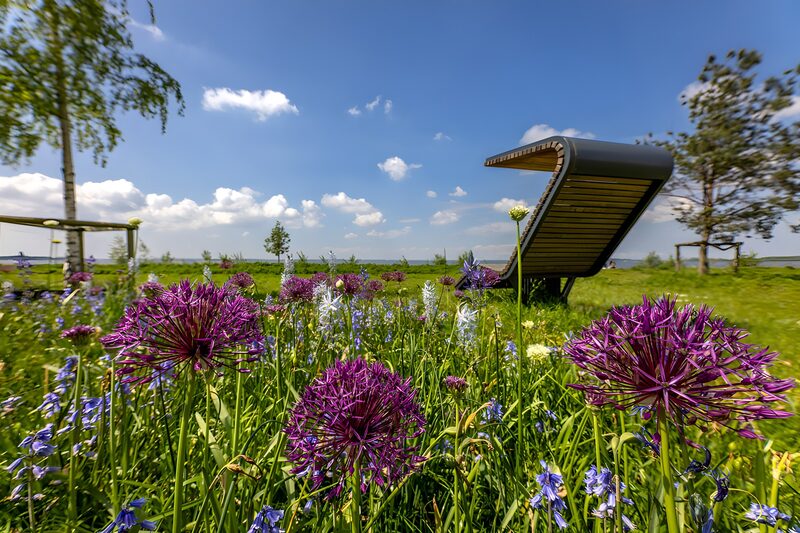Serene Oasis of Flowers and Design