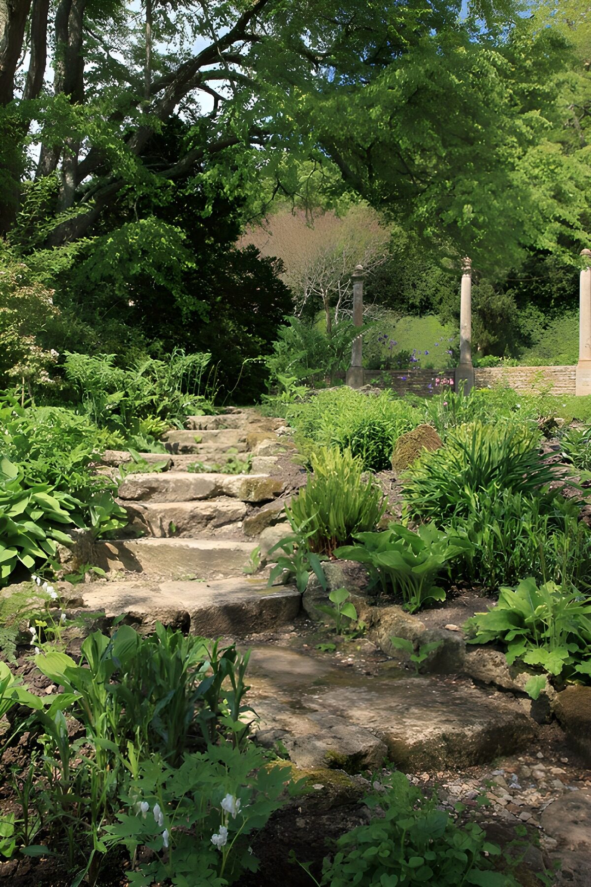 Serene Stone Pathway in Lush Garden