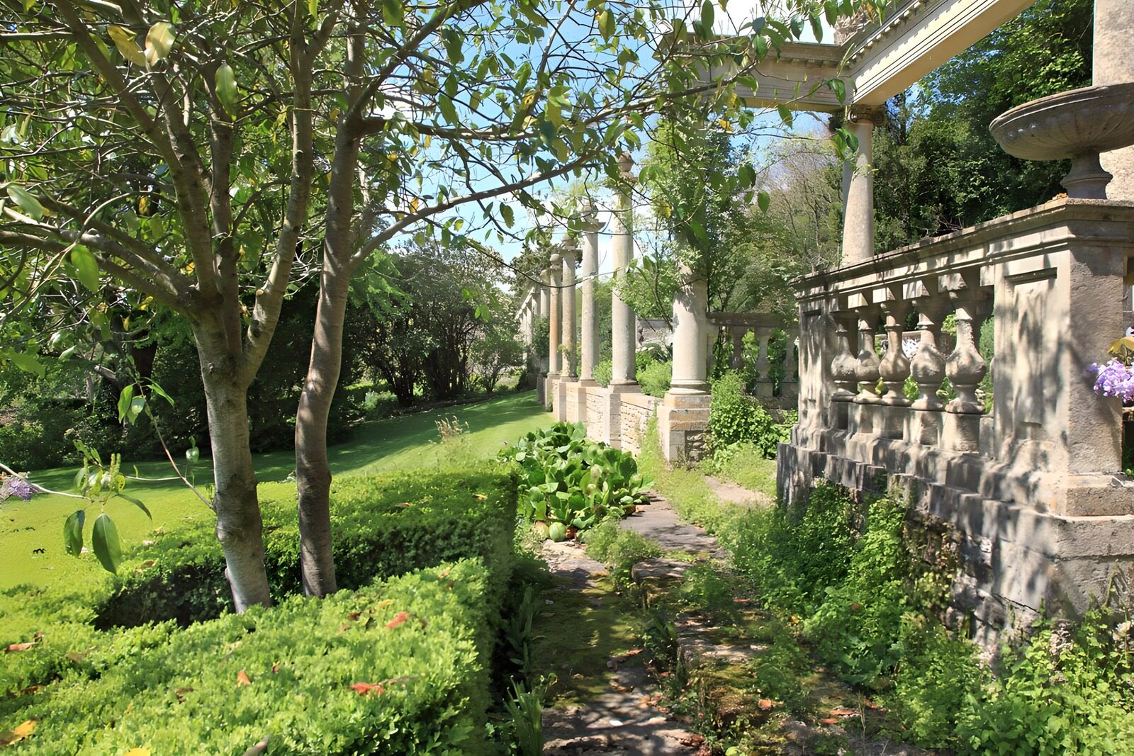 Tranquil Garden Pathway