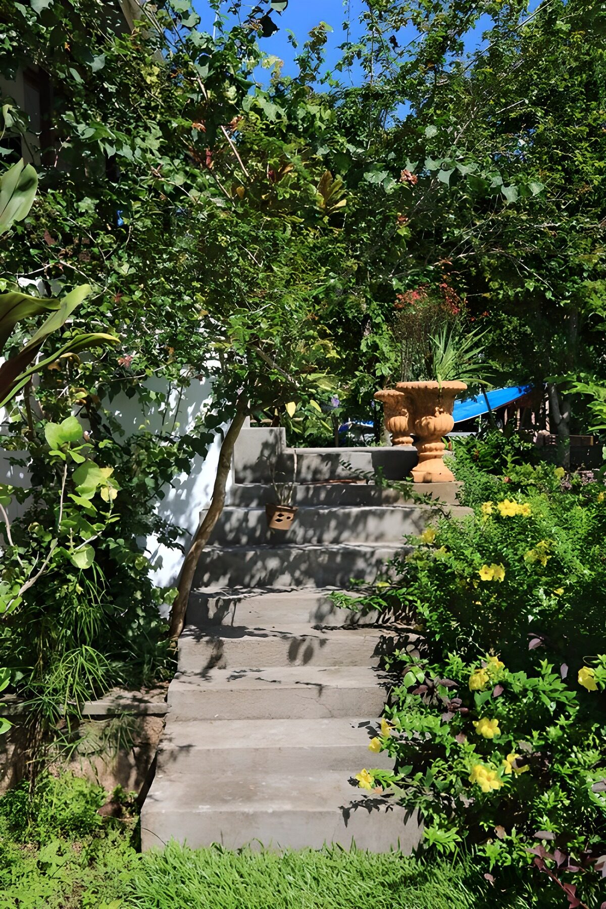 Serene Garden Steps Leading to a Hidden Oasis
