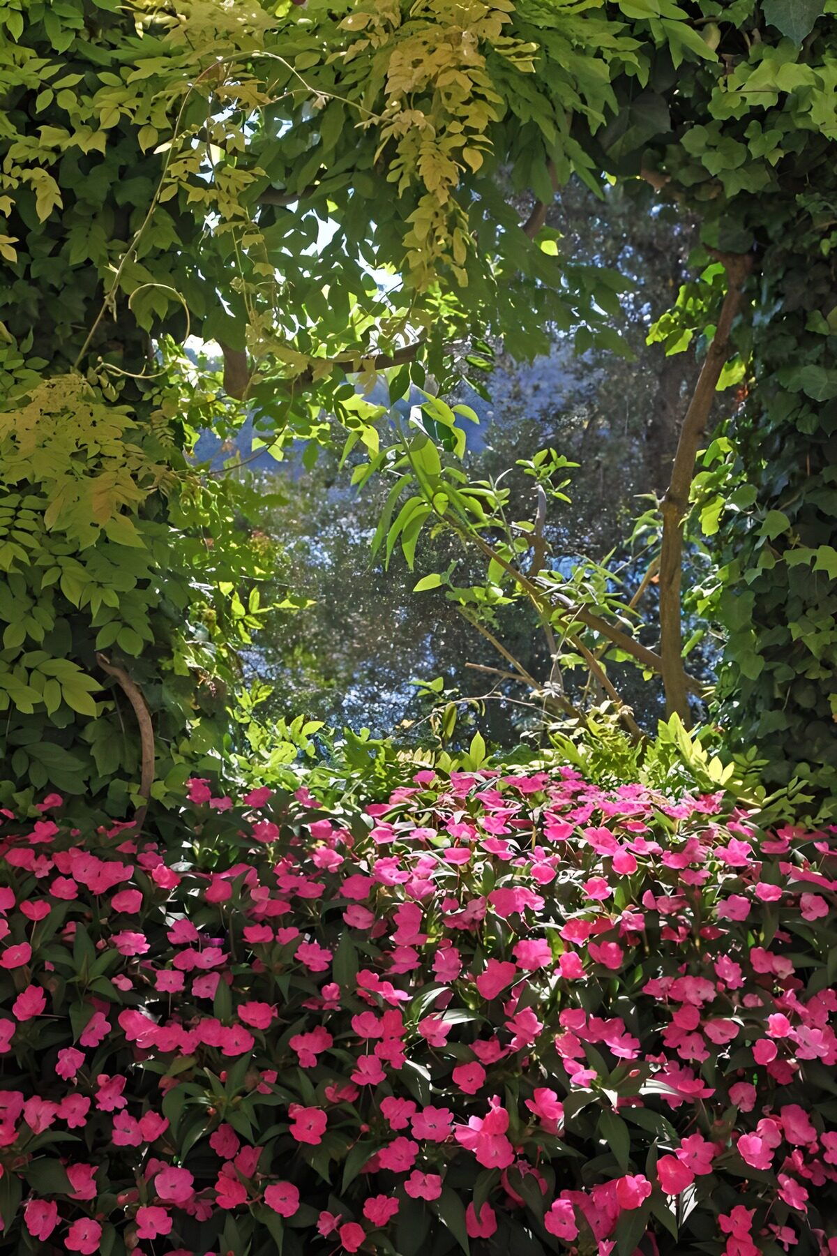 Vibrant Floral Framed View