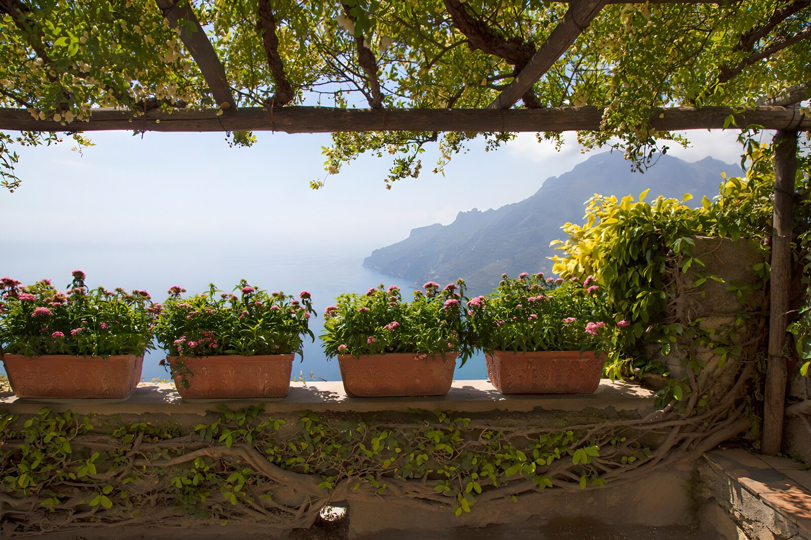 Tranquil Garden Overlooking the Sea