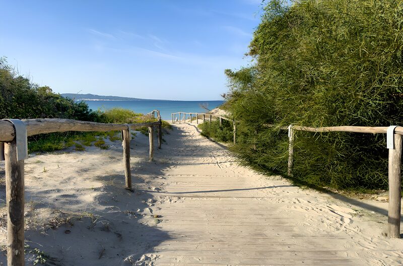 Coastal Pathway to Tranquil Waters