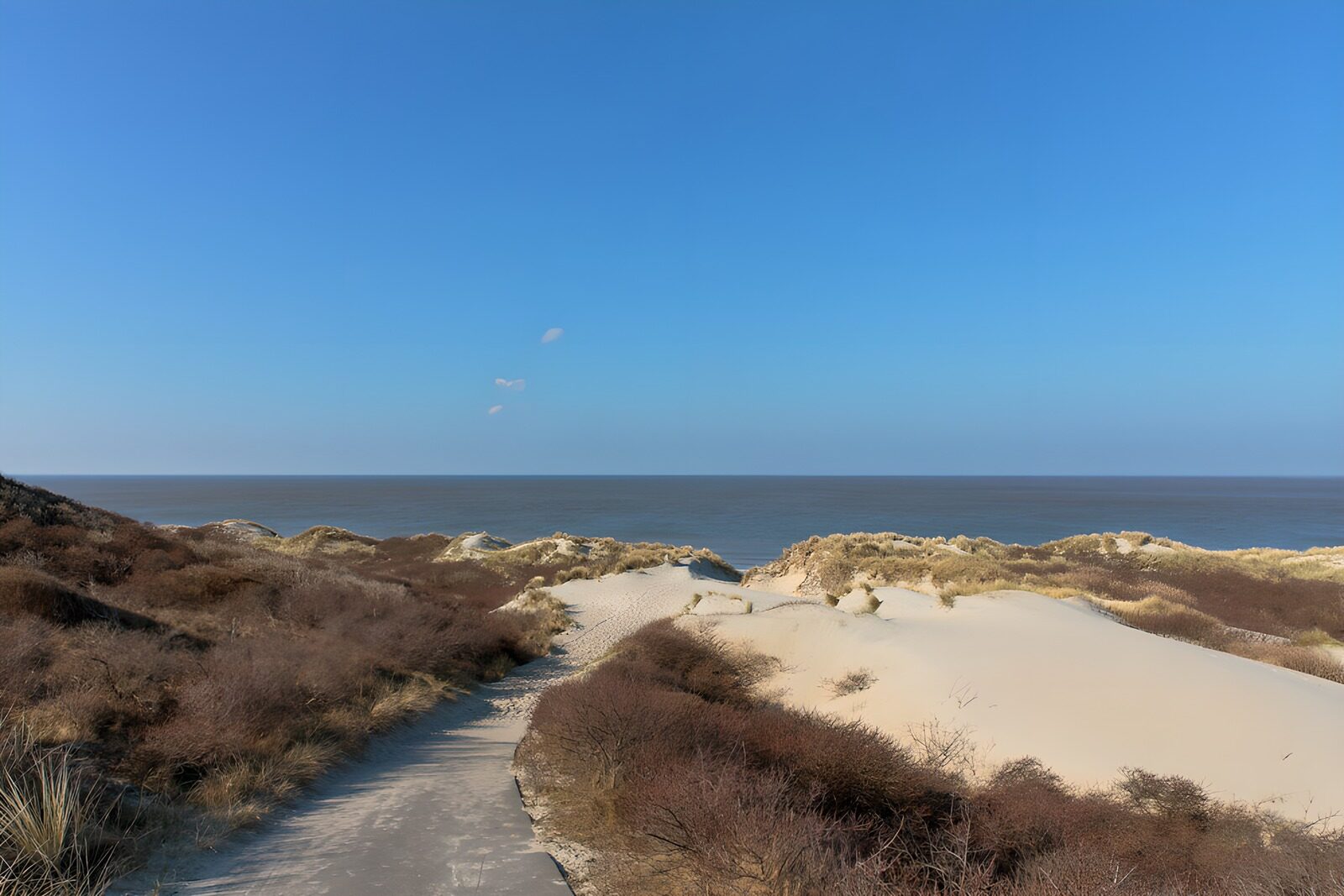 Serene Dunes by the Sea