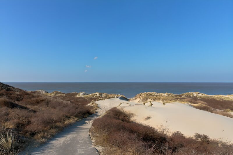 Serene Dunes by the Sea