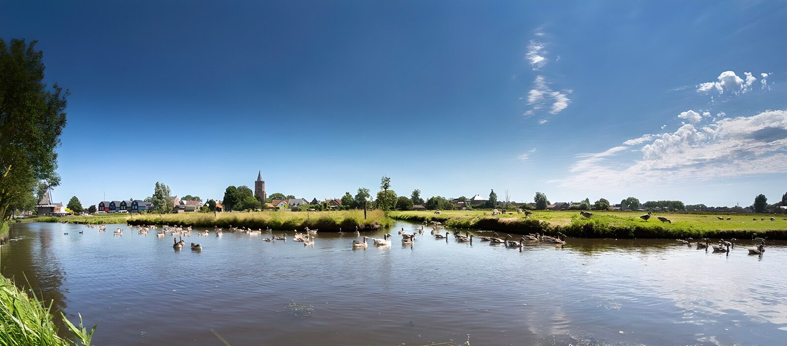 Serene River Landscape with Geese