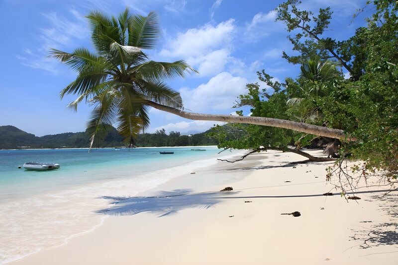 Tranquil Tropical Paradise