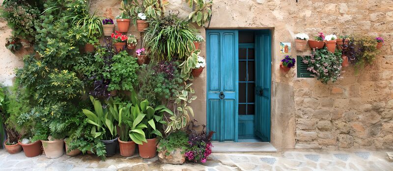 Vibrant Blue Door with Greenery