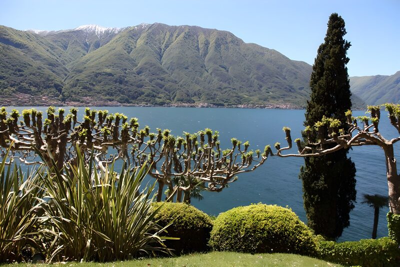 Serene Lakeside Landscape