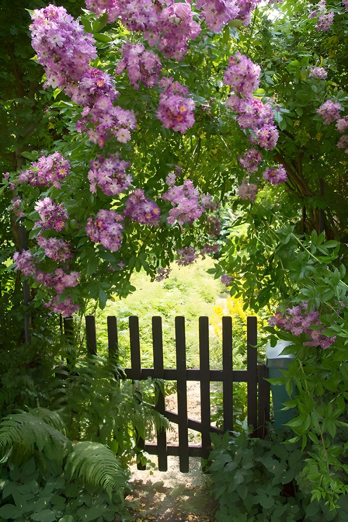 Blossoming Gateway to Tranquility