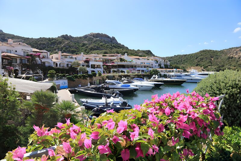 Scenic Marina with Vibrant Bougainvillea