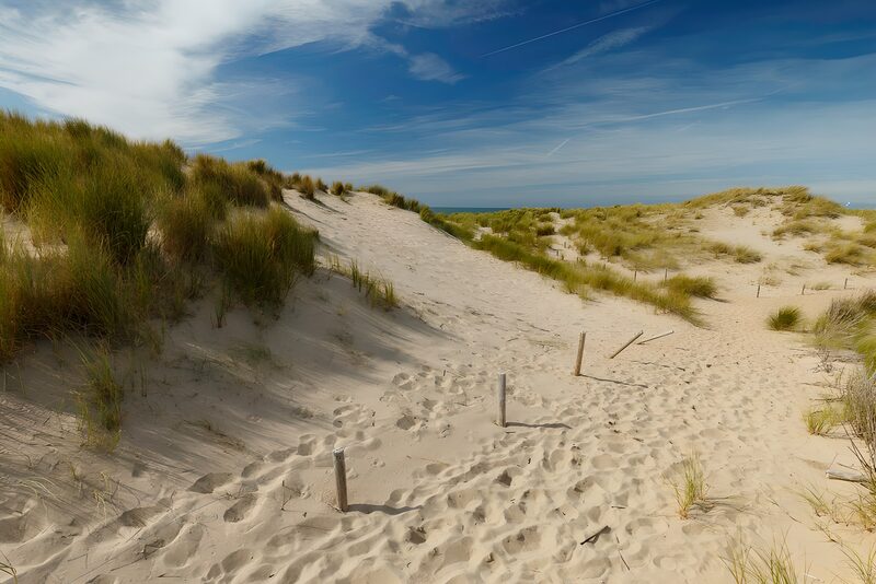 Serene Dunes Under a Blue Sky