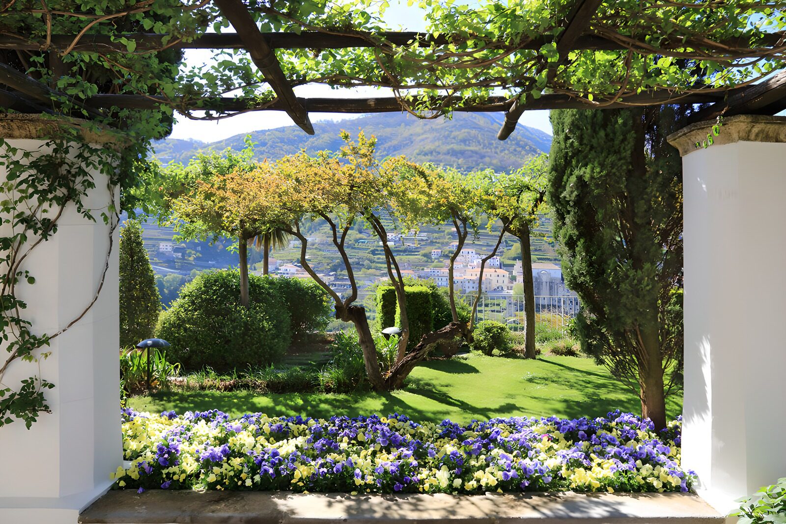 Serene Garden View with Mountains