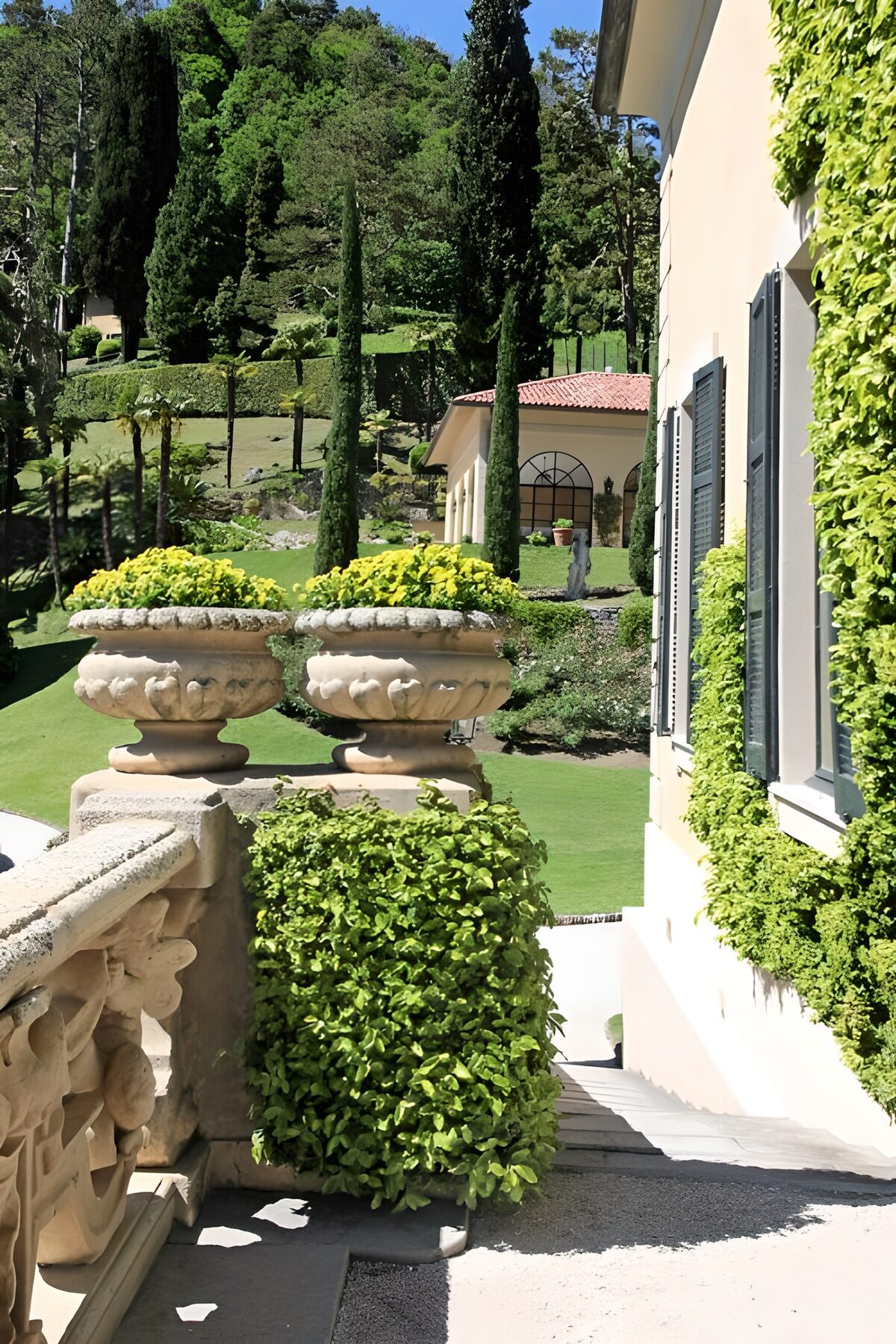Lush Garden Pathway in a Villa