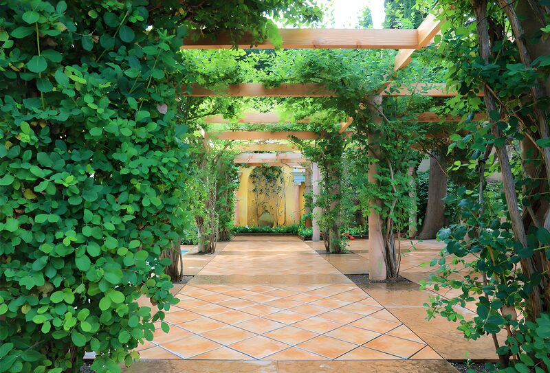 Serene Garden Pathway