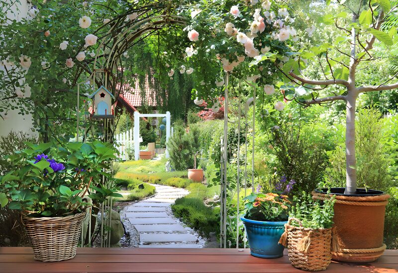 Tranquil Garden Pathway