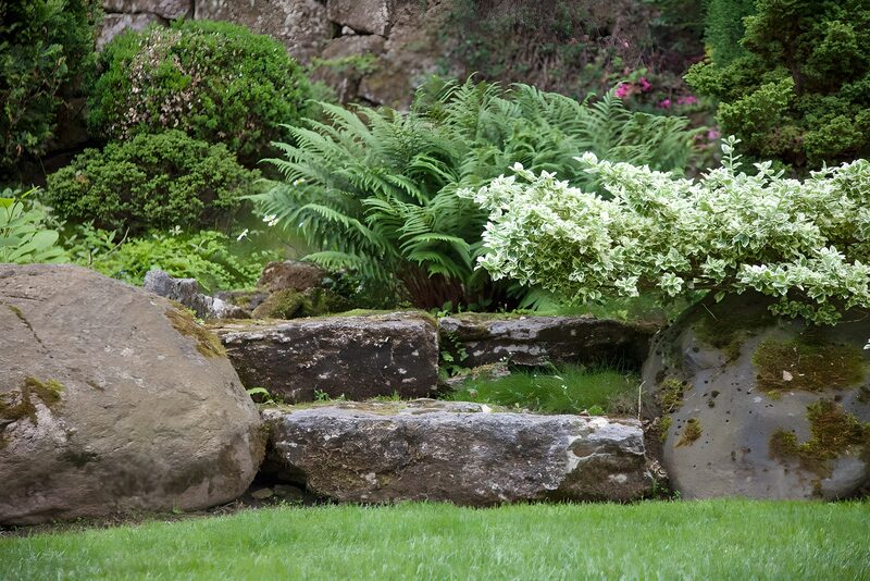 Tranquil Garden Serenity