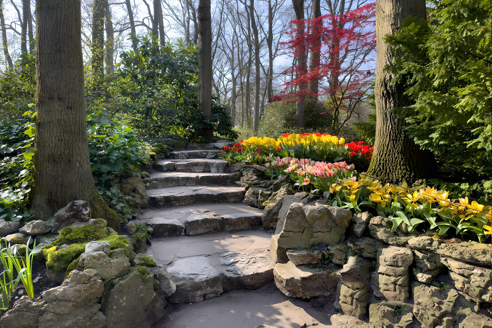 Serene Garden Pathway in Spring