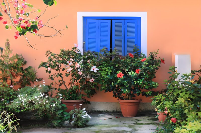 Vibrant Garden Window
