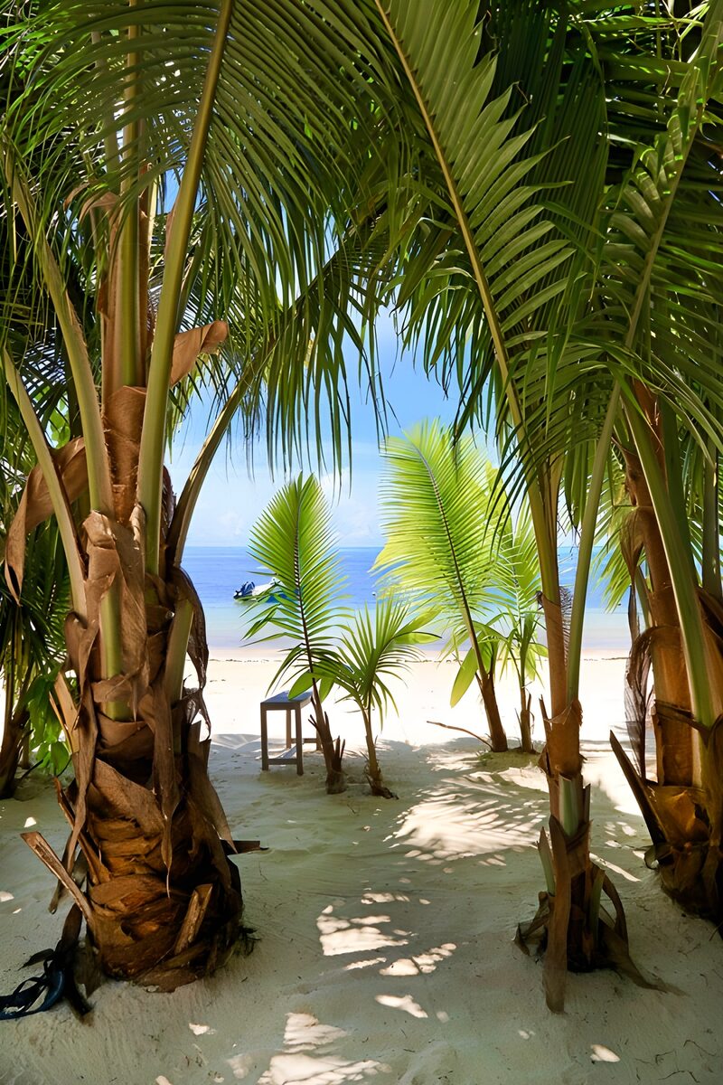 Tranquil Tropical Escape