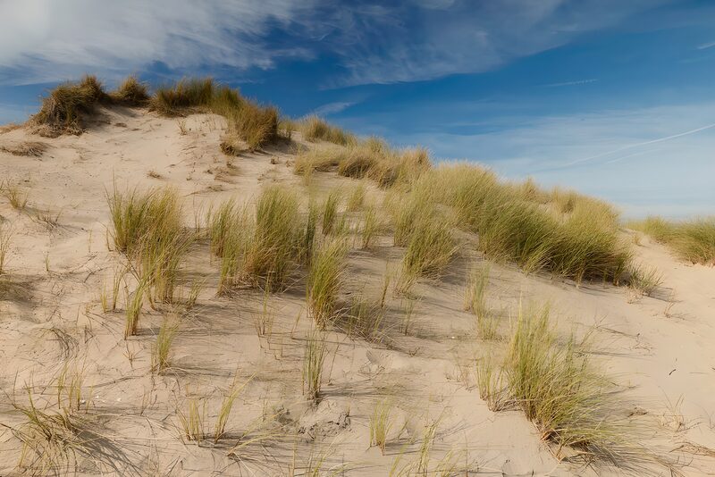 Tranquil Dune Landscape