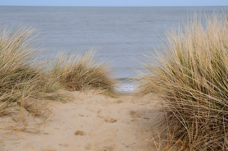 Tranquil Path to the Shore