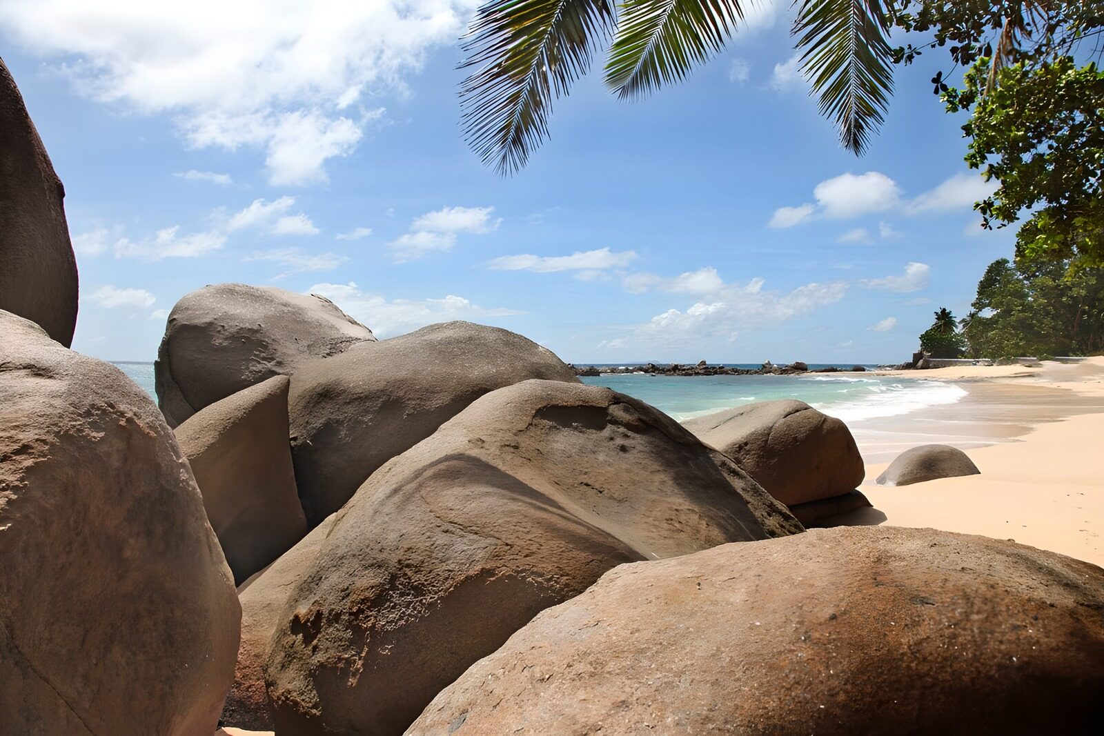 Tranquil Beach Landscape