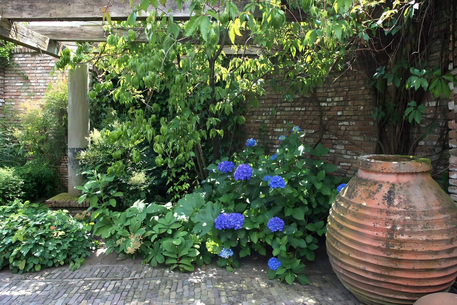 Serene Garden Corner with Hydrangeas