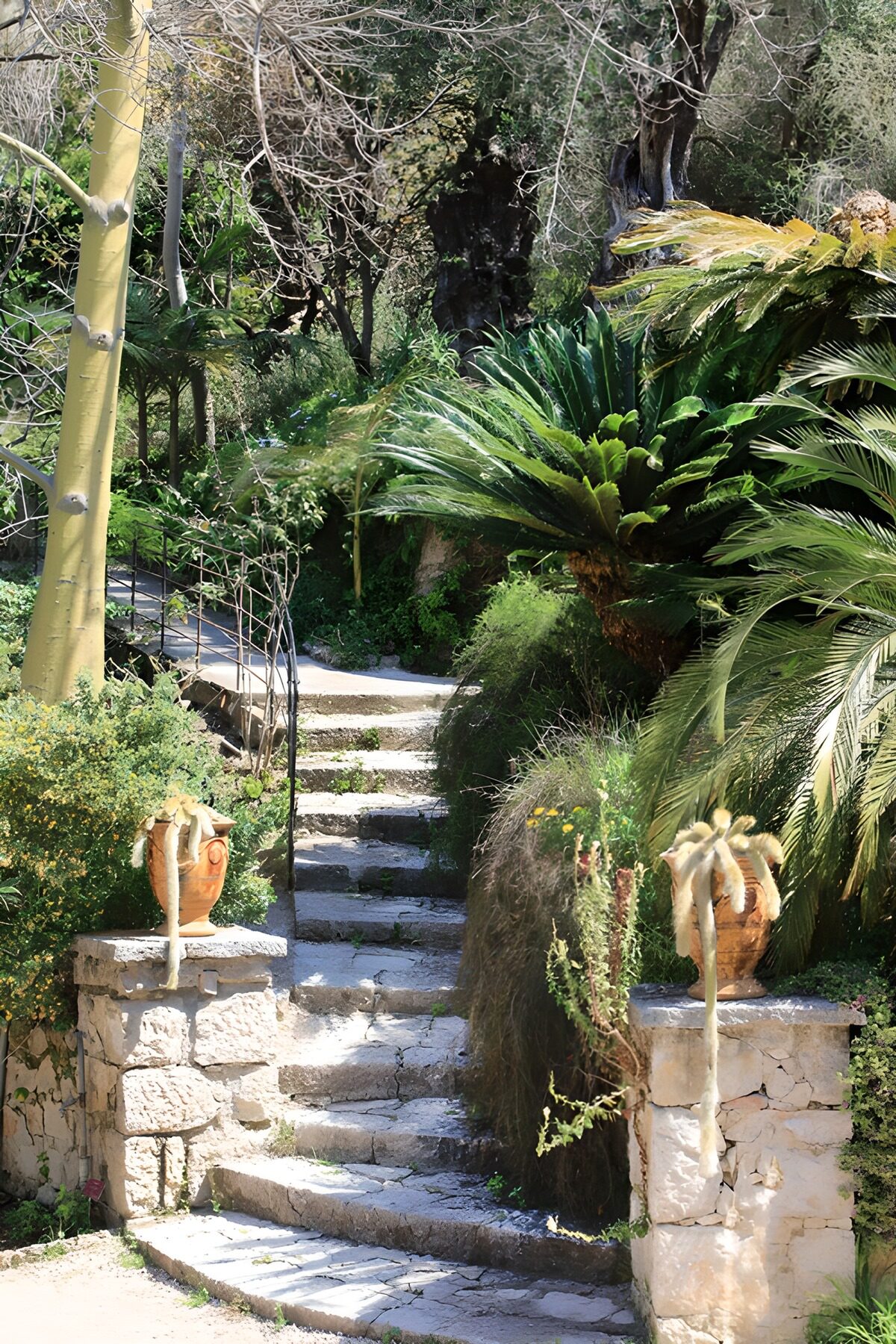 Serene Garden Pathway