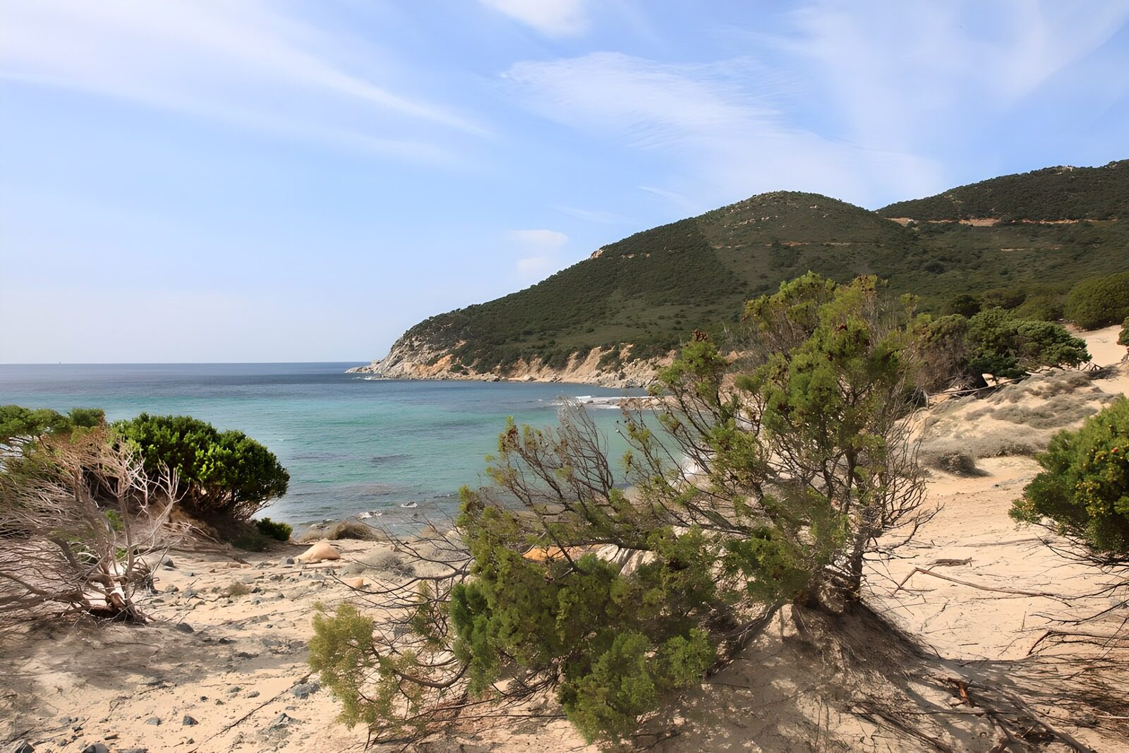 Serene Coastal Landscape